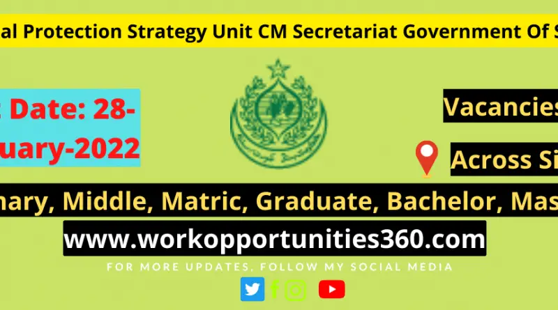 Social Protection Strategy Unit CM Secretariat Government Of Sindh Jobs 2022