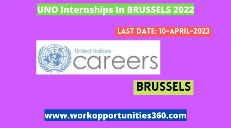UNO Internships In BRUSSELS 2022