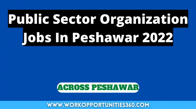 Public Sector Organization Jobs In Peshawar 2022